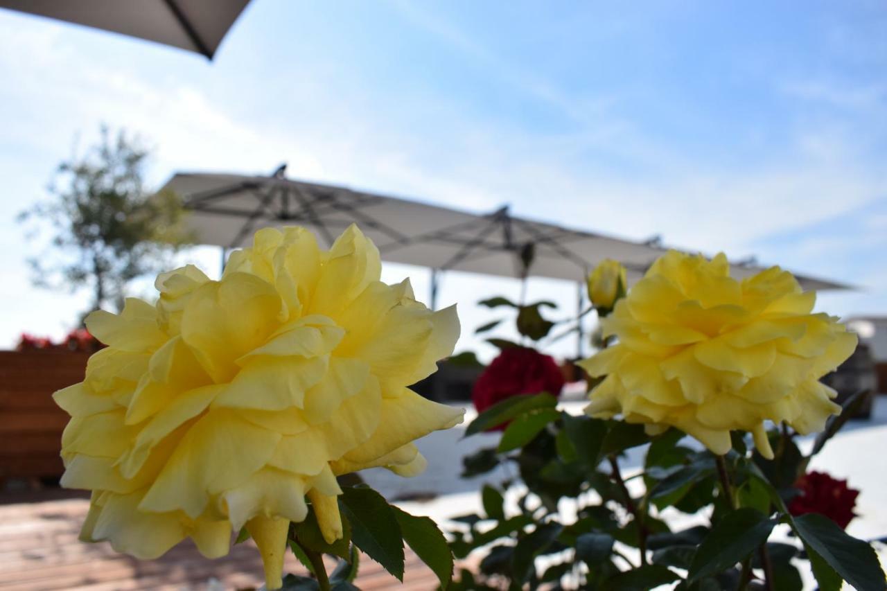 Chateau Linza Resort Tiran Dış mekan fotoğraf